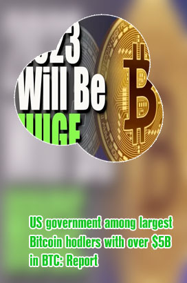 Biggest bitcoin holders