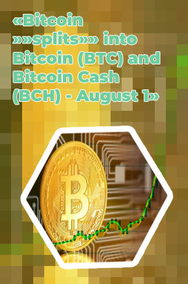 Bitcoin value