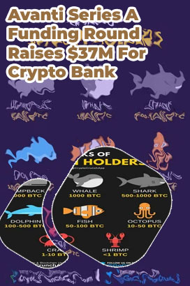 Btc apibased 37m seriesasmakovdecrypt